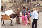 16_24_stjacques3.jpeg (20860 octets)