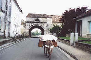 04_08_pons.jpg (46867 octets)