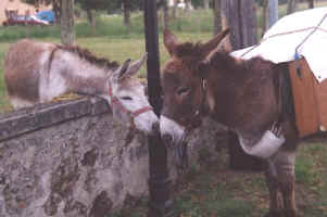 07_15_rencontre.jpeg (33635 octets)