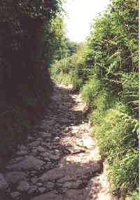 jm04_13_chelm.jpeg (55800 octets)