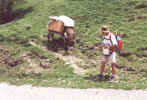jm06_26_petitdifficult.jpeg (61861 octets)