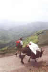 jm06_27_vueroncevo.jpeg (31730 octets)