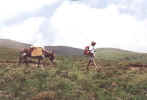 jm06_29_permontlaiss.jpeg (31811 octets)