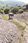 jm07_13_monteeane.jpeg (72719 octets)