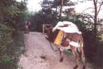 jm08_12a_passage.jpeg (52229 octets)