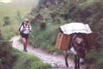 jm08_16ajmmont.jpeg (43187 octets)