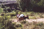 jm08_22_monteepont.jpg (53640 octets)