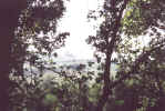 jm08_24_atravbranch.jpeg (57777 octets)
