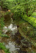 033_29.jpg (121096 octets)