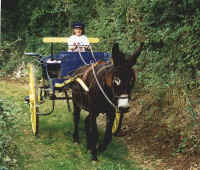 ameljdelacoire.jpg (55283 octets)